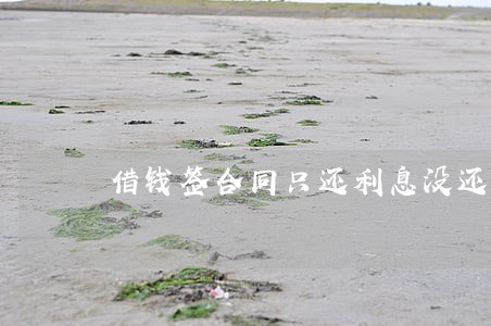 借钱签合同只还利息没还本金 借钱签合同只还利息没还本金
