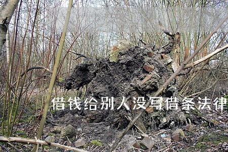 借钱给别人没写借条法律上有时效吗 借钱给别人没写借条法律上有时效吗