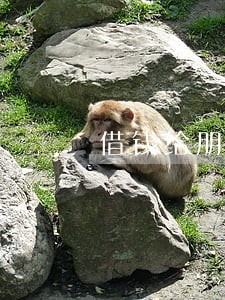 借钱给朋友贷款逾期了 借钱给朋友贷款逾期了