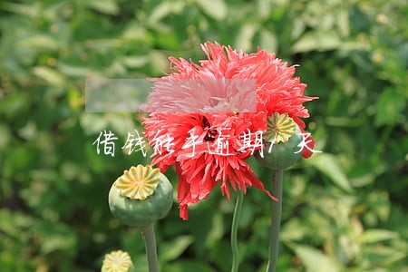 借钱能手逾期1天 借钱能手逾期1天