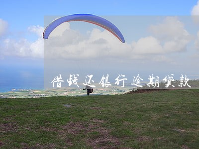 借钱还银行逾期贷款 借钱还银行逾期贷款
