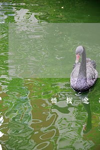 借钱逾期100天 借钱逾期100天