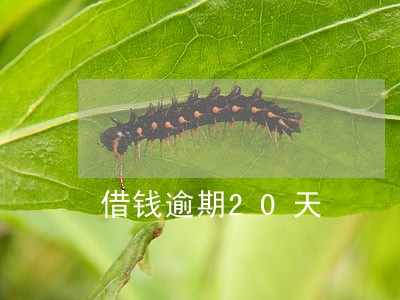 借钱逾期20天 借钱逾期20天