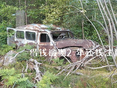 借钱逾期2年还钱注意什么 借钱逾期2年还钱注意什么