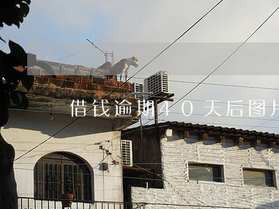 借钱逾期40天后图片 借钱逾期40天后图片