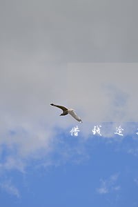借钱逾期5天会有什么不利因素 借钱逾期5天会有什么不利因素