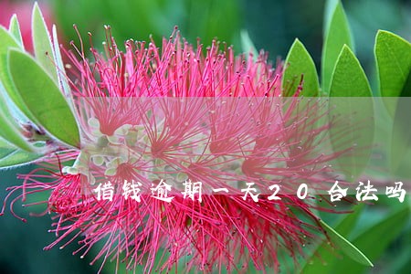 借钱逾期一天20合法吗 借钱逾期一天20合法吗