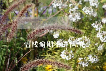 借钱逾期不讲信用 借钱逾期不讲信用