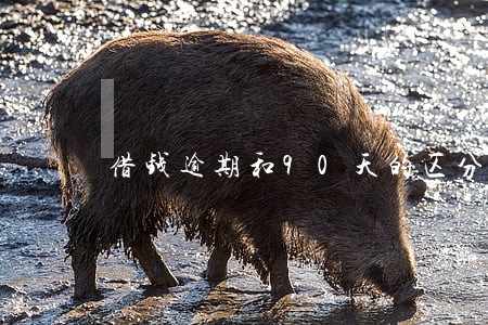 借钱逾期和90天的区分 借钱逾期和90天的区分