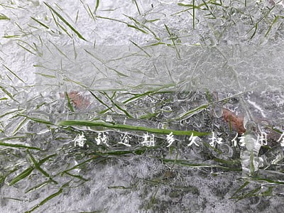 借钱逾期多久扣信用金 借钱逾期多久扣信用金