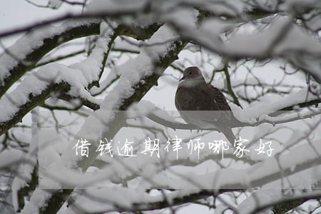 借钱逾期律师哪家好 借钱逾期律师哪家好