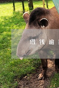 借钱逾期答应一天还100 借钱逾期答应一天还100