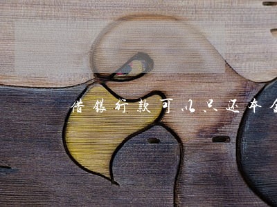 借银行款可以只还本金吗 借银行款可以只还本金吗