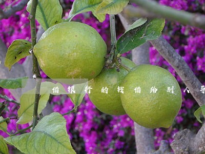 借银行的钱借给别人导致逾期