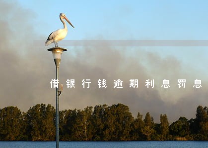借银行钱逾期利息罚息怎么算 借银行钱逾期利息罚息怎么算