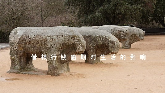 借银行钱逾期对生活的影响 借银行钱逾期对生活的影响