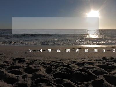 借闪电虎的钱逾期30天 借闪电虎的钱逾期30天
