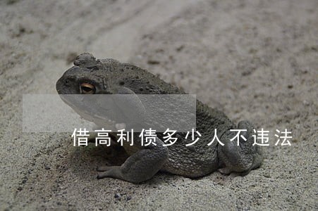 借高利债多少人不违法