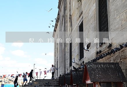 倪小玲的信用卡逾期 倪小玲的信用卡逾期