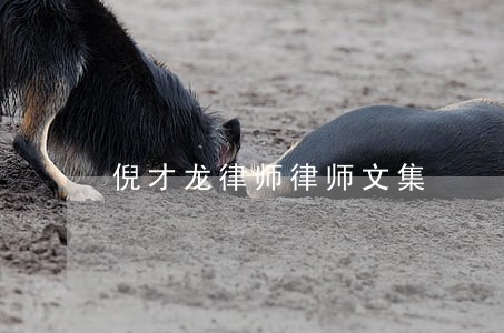 倪才龙律师律师文集 倪才龙律师律师文集