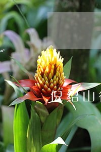倪绍山律师荣誉相册 倪绍山律师荣誉相册