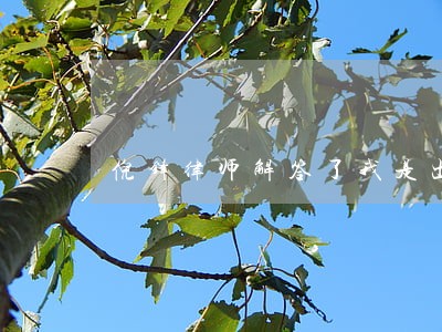 倪锋律师解答了我是出租车 倪锋律师解答了我是出租车
