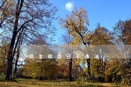 债主称自己不违法 债主称自己不违法