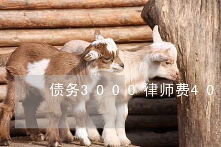 债务3000律师费4000 债务3000律师费4000