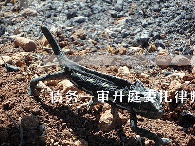 债务一审开庭委托律师费 债务一审开庭委托律师费