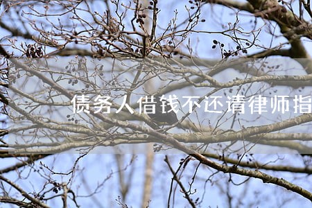 债务人借钱不还请律师指点办法 债务人借钱不还请律师指点办法