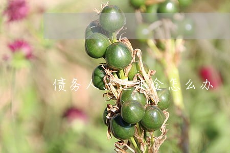 债务人只还本金怎么办 债务人只还本金怎么办