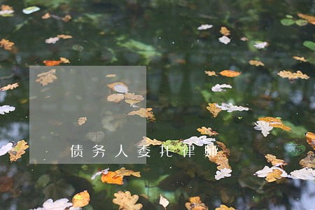 债务人委托律师 债务人委托律师