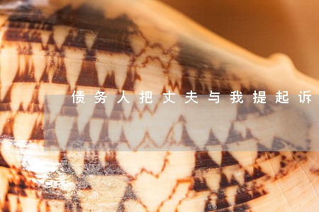 债务人把丈夫与我提起诉讼了 债务人把丈夫与我提起诉讼了