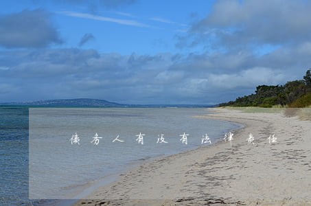 债务人有没有法律责任 债务人有没有法律责任