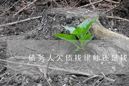 债务人欠债找律师还是找中介 债务人欠债找律师还是找中介