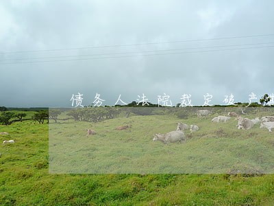 债务人法院裁定破产期间 债务人法院裁定破产期间