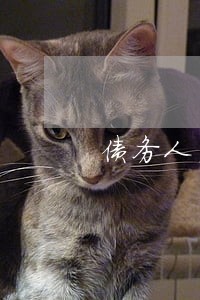债务人虚假诉讼转移财产 债务人虚假诉讼转移财产