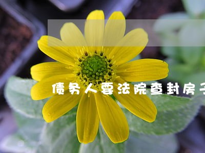 债务人要法院查封房子 债务人要法院查封房子