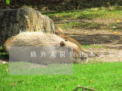 债务人说只还本金怎么应对 债务人说只还本金怎么应对