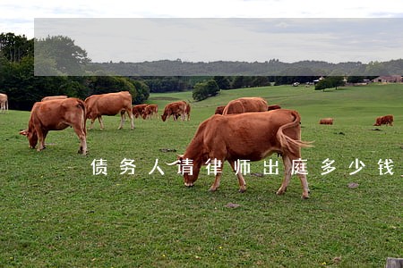 债务人请律师出庭多少钱 债务人请律师出庭多少钱