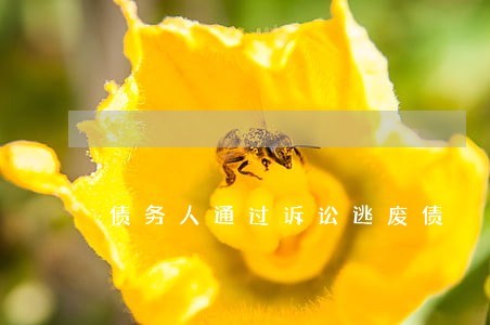 债务人通过诉讼逃废债
