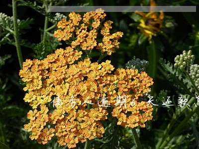 债务人逾期6天还款怎么办 债务人逾期6天还款怎么办