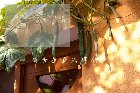 债务企业法律顾问 债务企业法律顾问