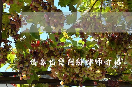 债务借贷纠纷律师价格 债务借贷纠纷律师价格
