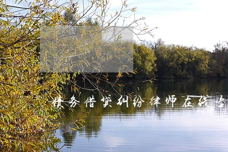 债务借贷纠纷律师在线咨询 债务借贷纠纷律师在线咨询