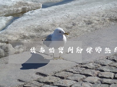 债务借贷纠纷律师热线 债务借贷纠纷律师热线