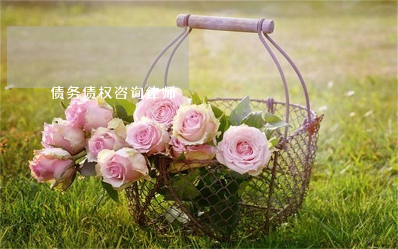 债务债权咨询律师 债务债权咨询律师