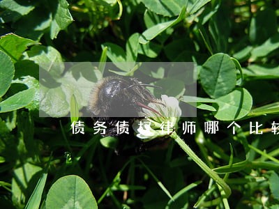 债务债权律师哪个比较出名 债务债权律师哪个比较出名