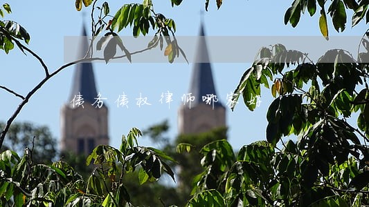 债务债权律师哪家好 债务债权律师哪家好
