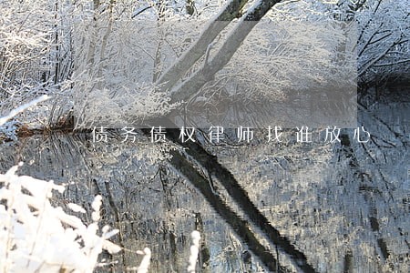 债务债权律师找谁放心 债务债权律师找谁放心
